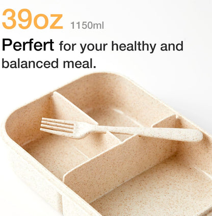 Portable Lightweight Rectangular Lunch Box | Eco-Friendly, Leakproof, Easy to Clean, Multi-Purpose